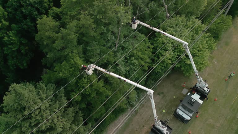 Best Storm Damage Tree Cleanup  in Cross Mountain, TX