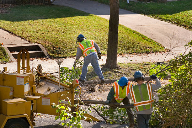 Best Tree Mulching  in Cross Mountain, TX